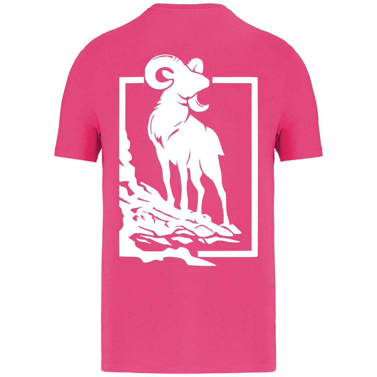 T-shirt Bio Homme/Femme Mouflon MARE À CIMA