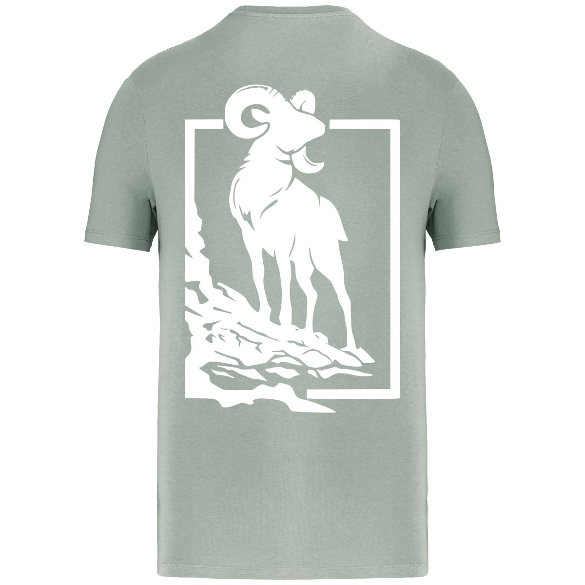 T-shirt éco-responsable Mouflon