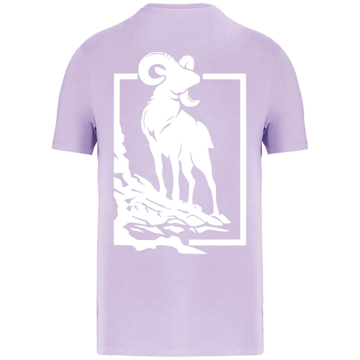 T-shirt éco-responsable Mouflon