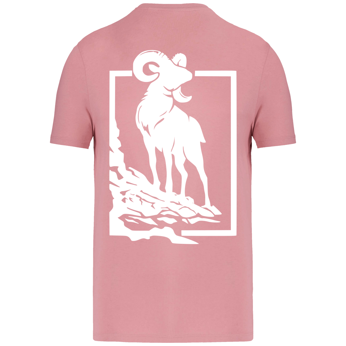 T-shirt éco-responsable Mouflon