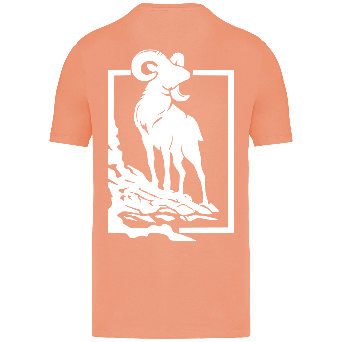 T-shirt éco-responsable Mouflon
