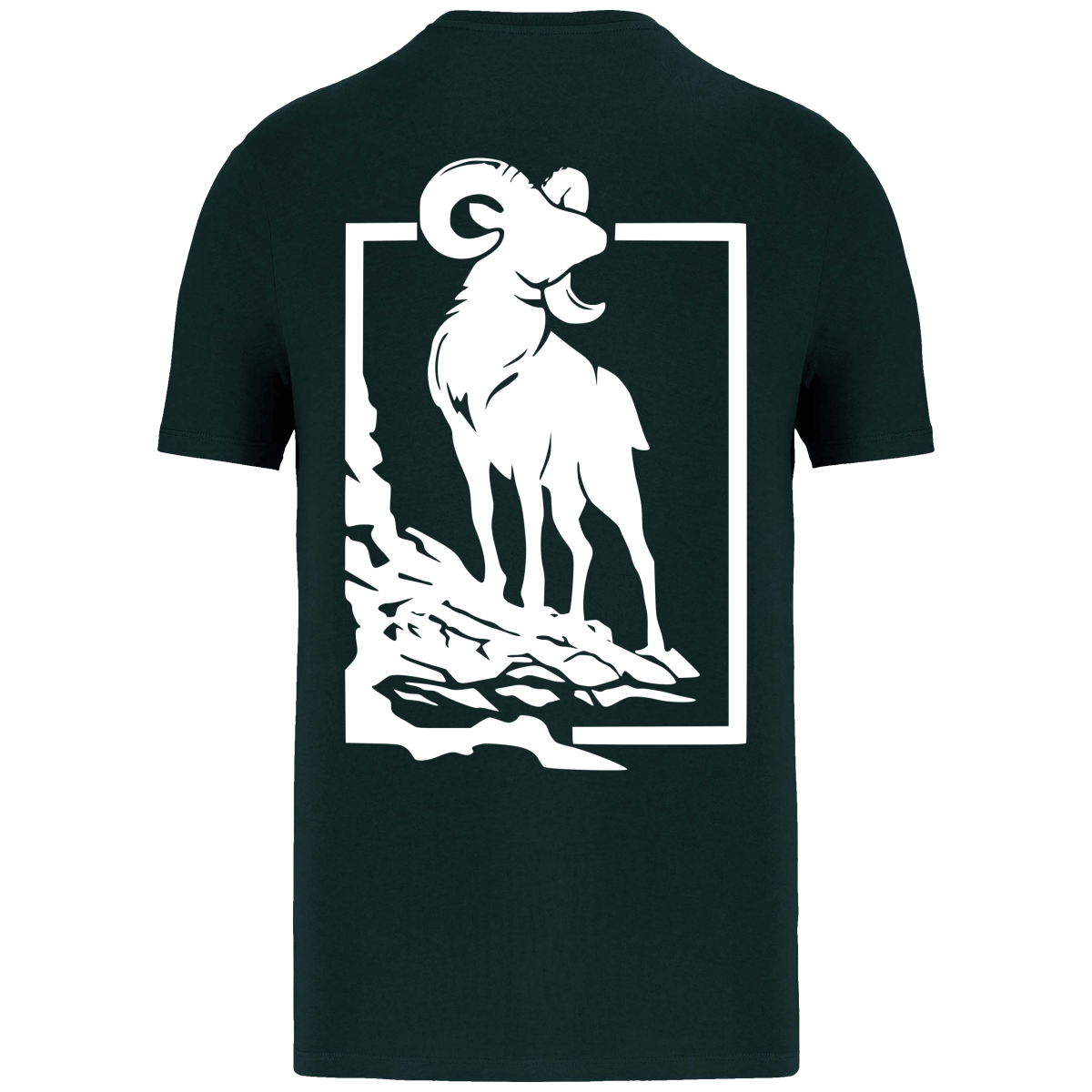 T-shirt éco-responsable Mouflon
