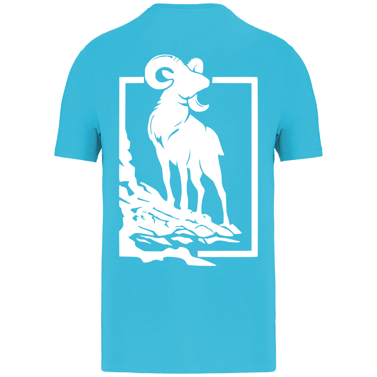 T-shirt éco-responsable Mouflon