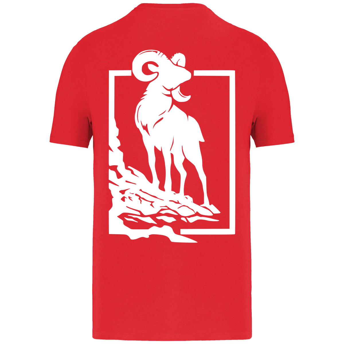 T-shirt éco-responsable Mouflon