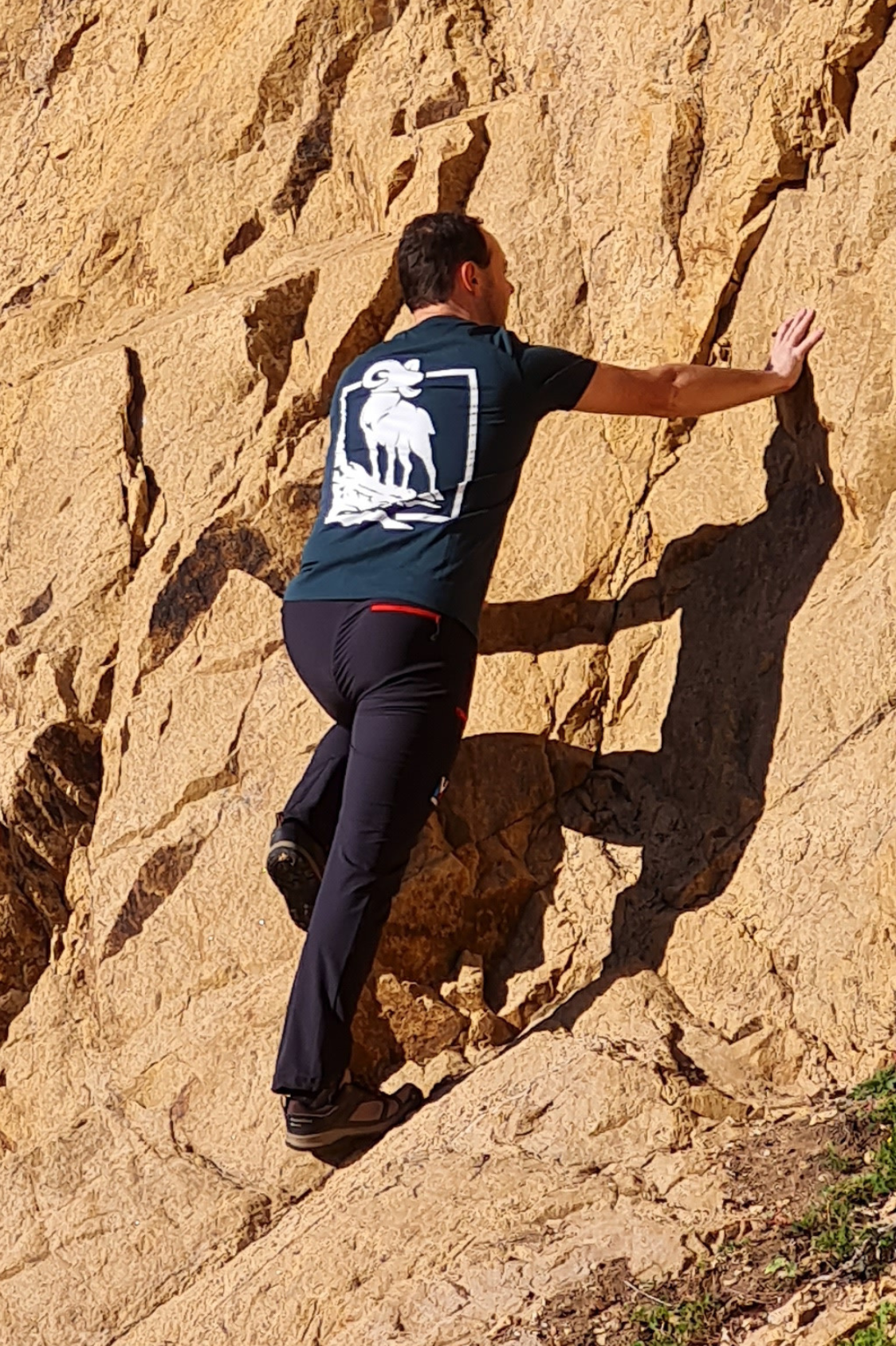 T-shirt éco-responsable Mouflon