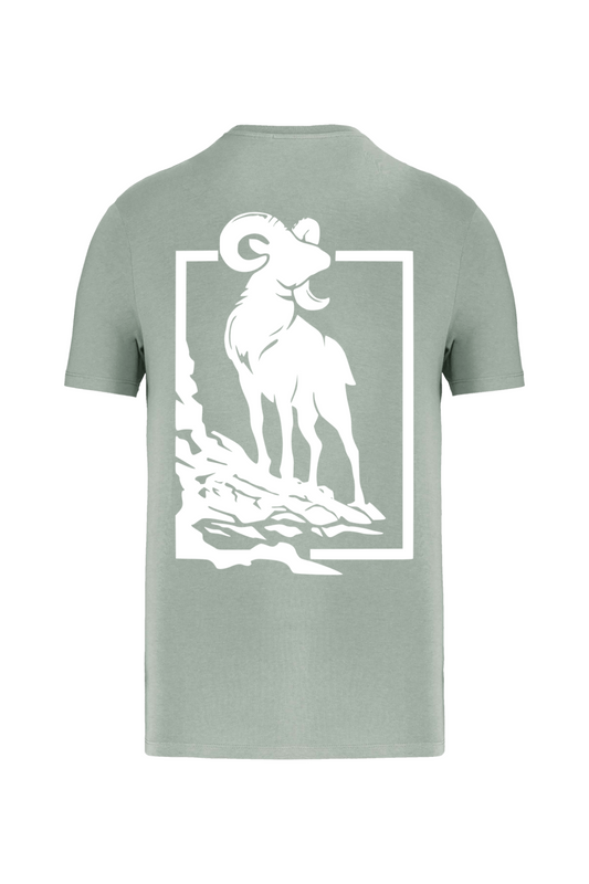 T-shirt Bio Homme/Femme Mouflon MARE À CIMA